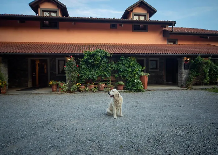 Escape Garni מלון